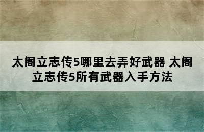 太阁立志传5哪里去弄好武器 太阁立志传5所有武器入手方法